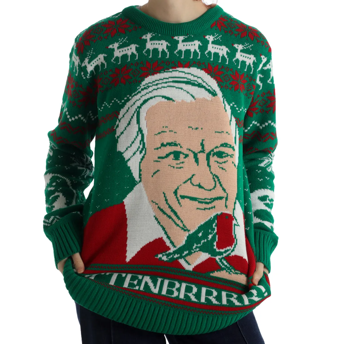 (50% Recycled) Attenbrrr: David Attenborough Knitted Christmas Jumper