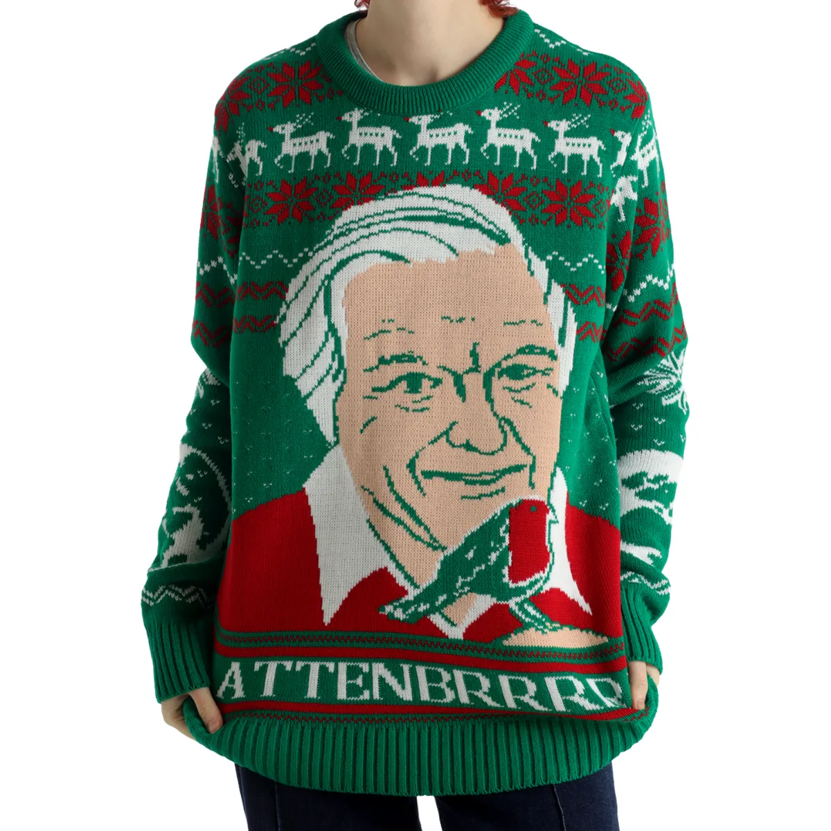 (50% Recycled) Attenbrrr: David Attenborough Knitted Christmas Jumper