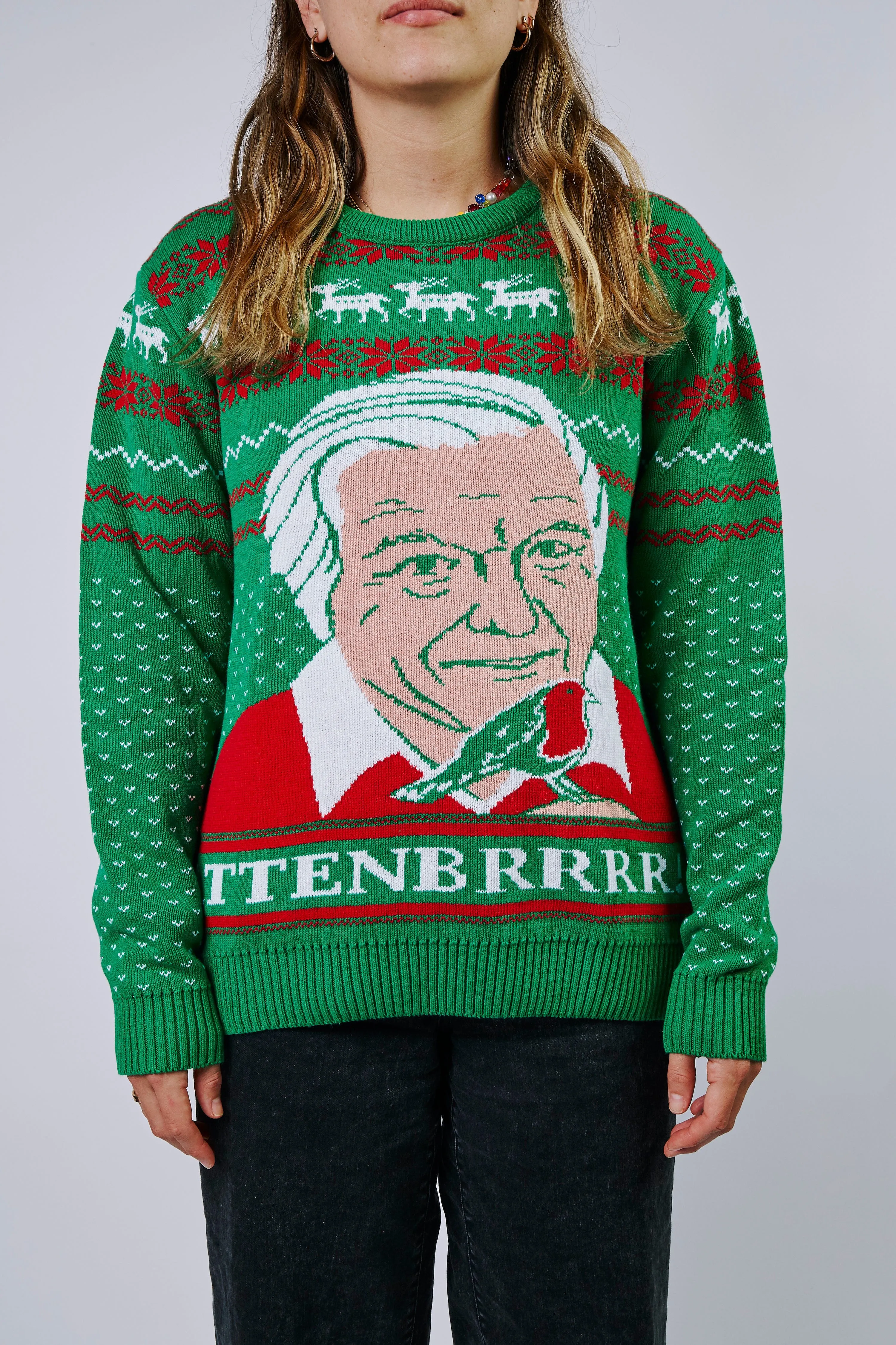 (50% Recycled) Attenbrrr: David Attenborough Knitted Christmas Jumper