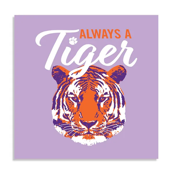 Always a Tiger Poster