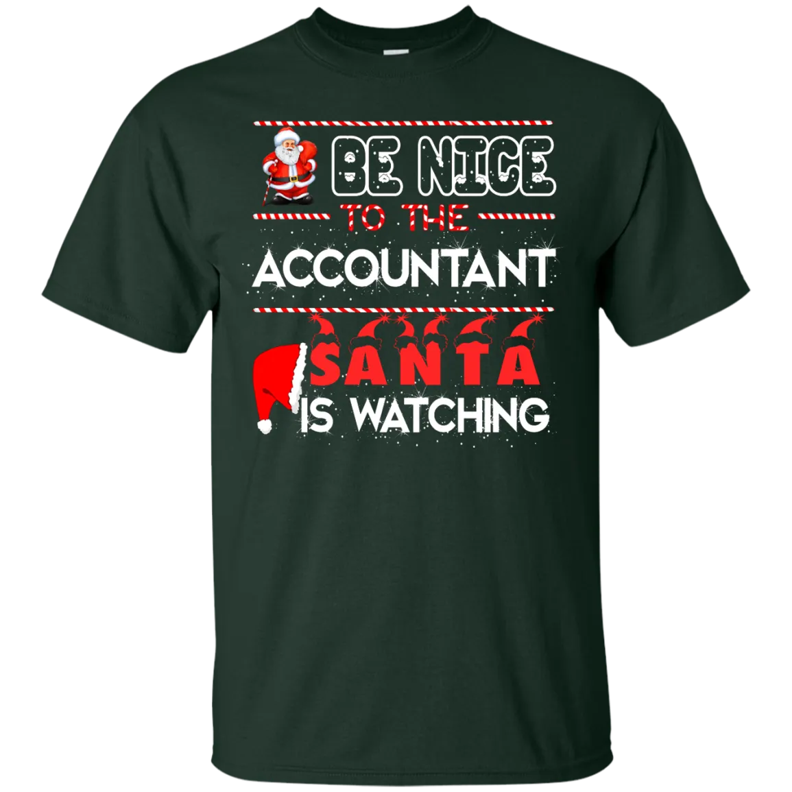 Be Nice To The Accountant Shirt, Hoodie, Tank