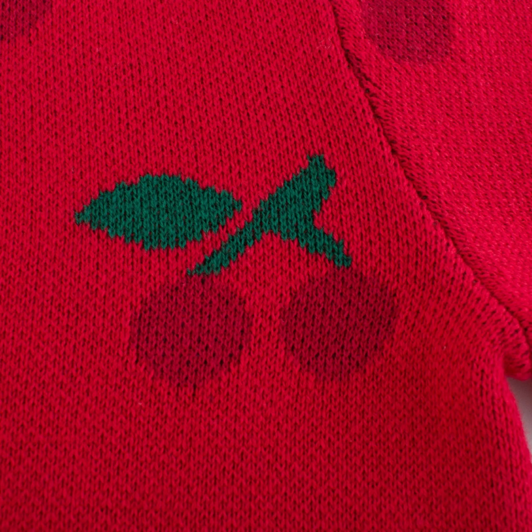 Beautiful Fruit Designed Cardigan ,Red