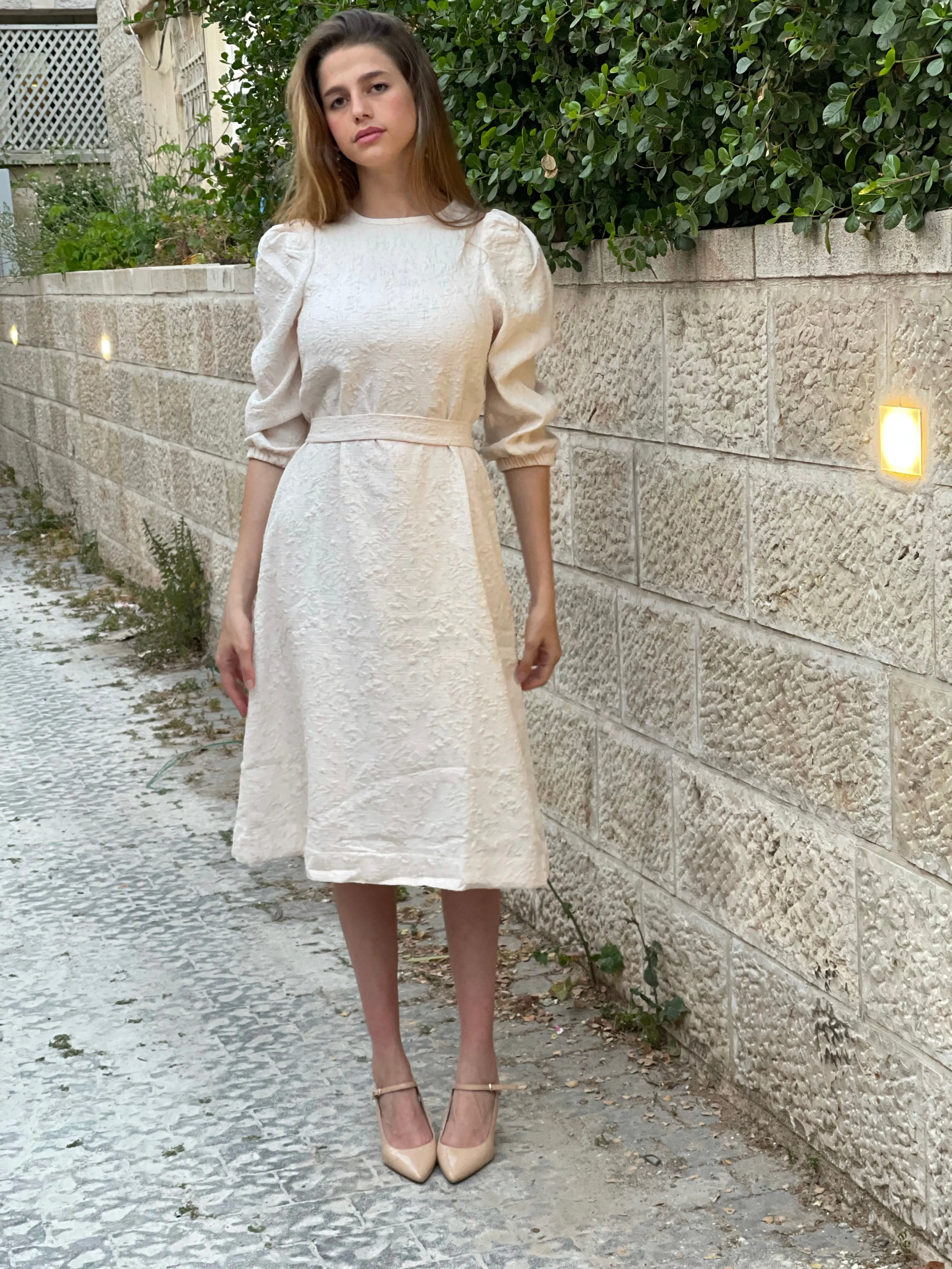 Brocade Elegant Dress / Pudra