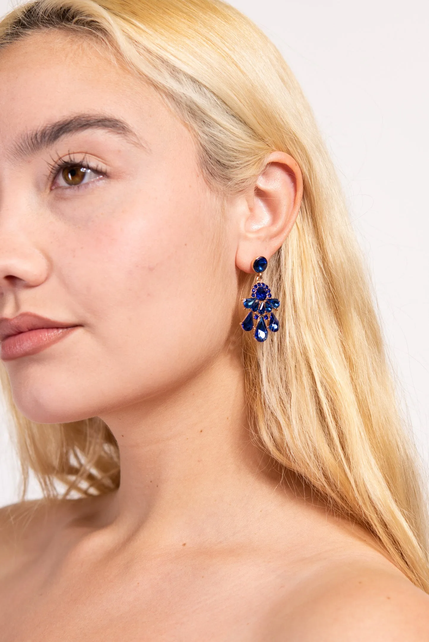 Janet Small Teardrop Chandelier Earrings